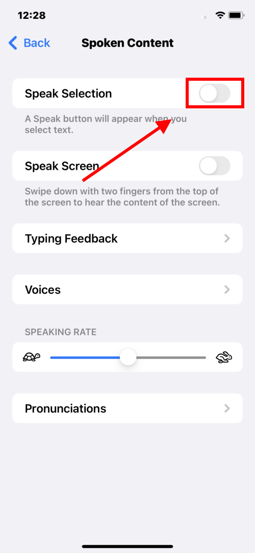 Tap Speak Selection to turn the toggle switch on